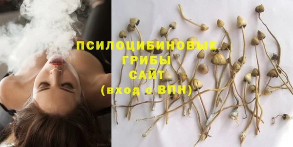 тгк Богородицк