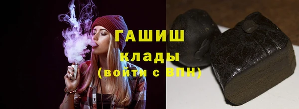 индика Горно-Алтайск