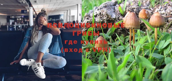 шишки Богданович