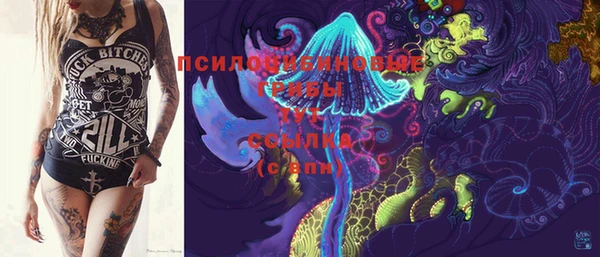 шишки Богданович