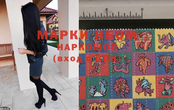 прущие крисы Зеленокумск