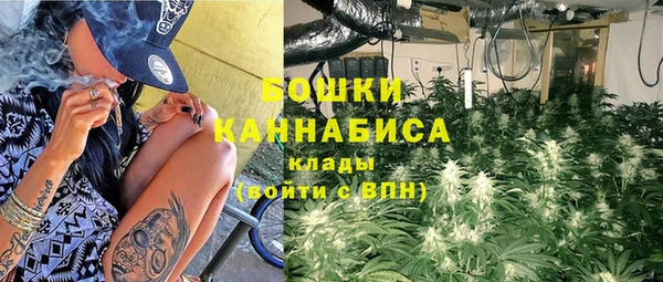 шишки Богданович