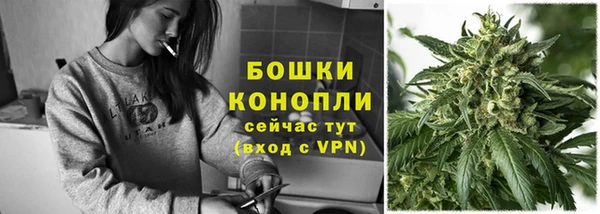 шишки Богданович