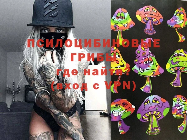 шишки Богданович